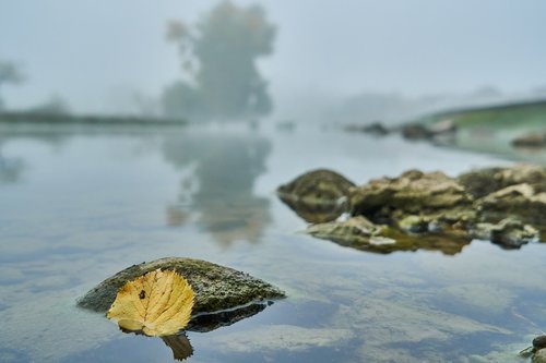 river  autumn leaf  fog