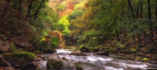 river  autumn  landscape