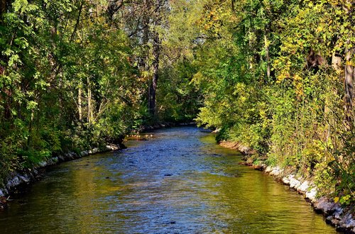 river  bach  water