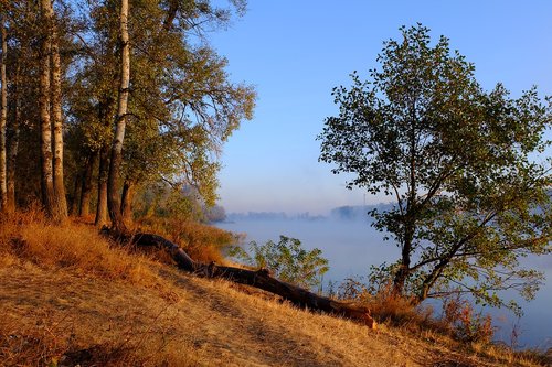 river  morning  dawn