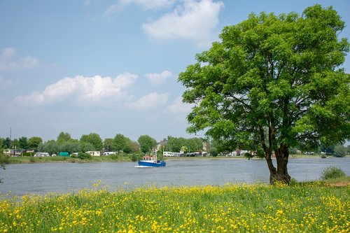 river  trees  boat