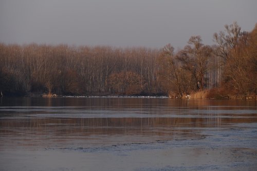 river  nature  water