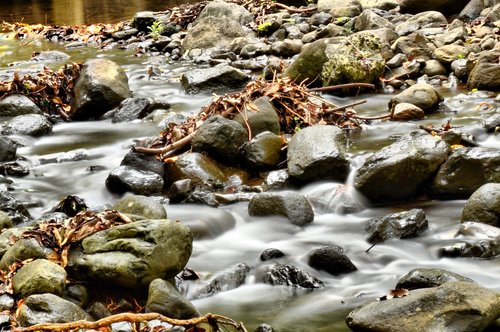 river  rock  water