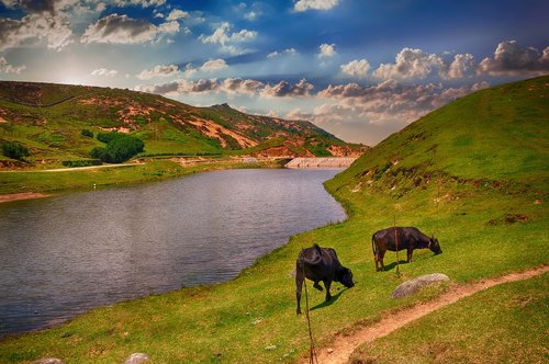 river  landscape  outdoors