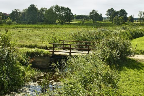 river  bridge  meadows