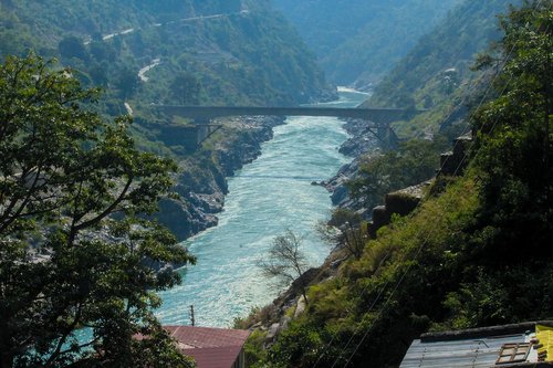 river  tree  nature