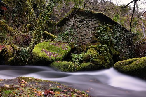 river  water  nature