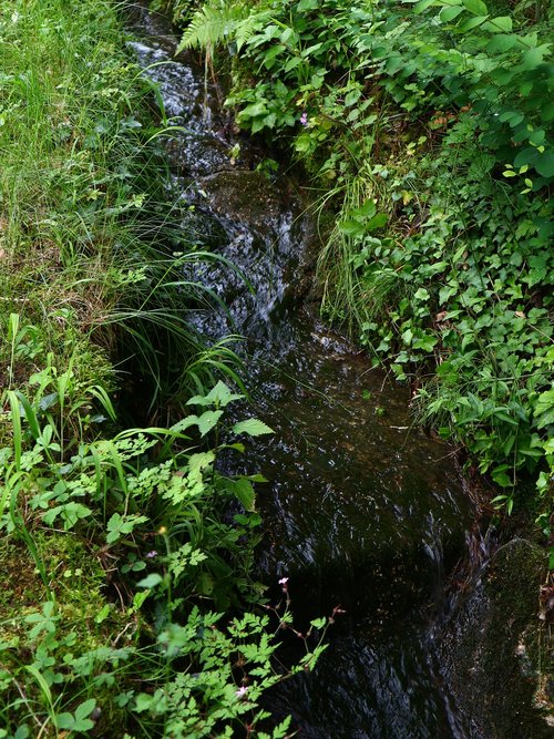 river  bach  water