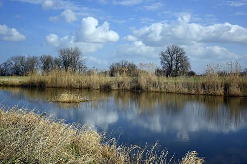 river  river landscape  landscape