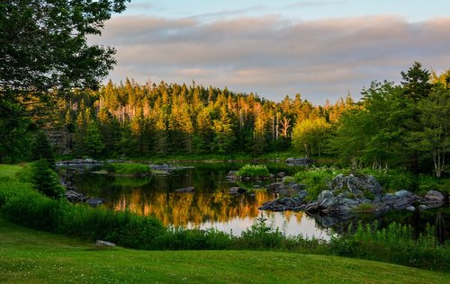 river  forest  landscape