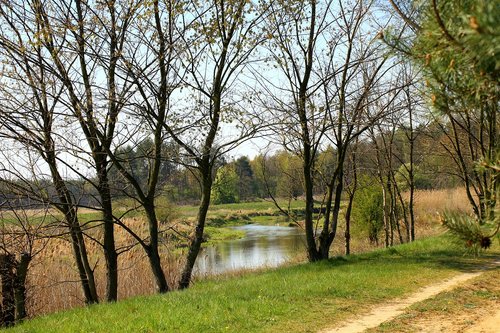 river  landscape  spring