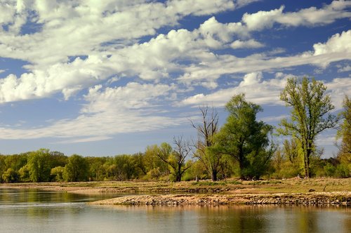 river  river landscape  bank