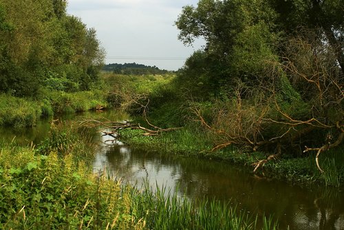 river  green  nature