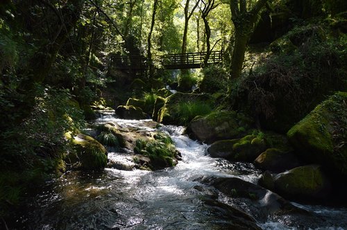 river  waterfall  nature