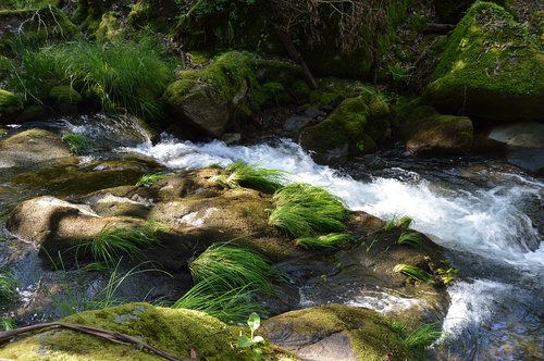 river  nature  brook