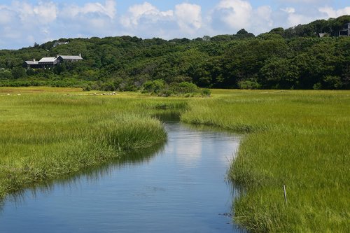 river  path  water