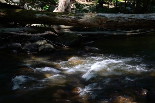river stream nature