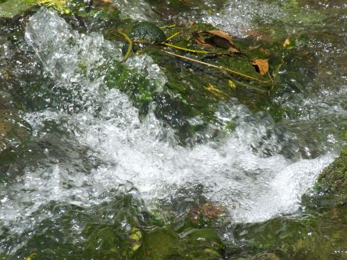 river shoal water