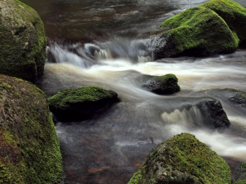 river moss stones