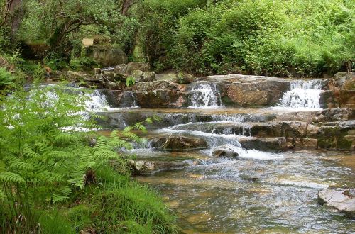 river nature water