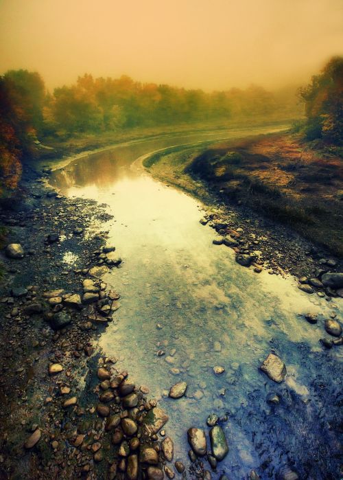 river mist landscape