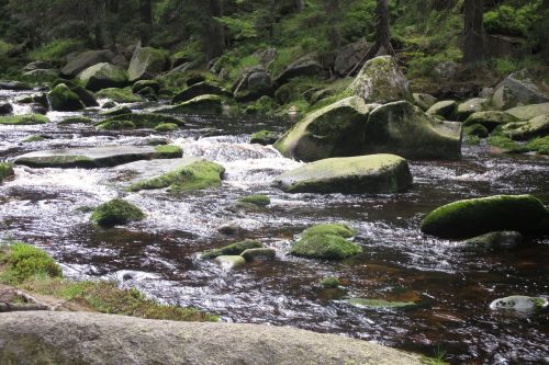 river šumava stones