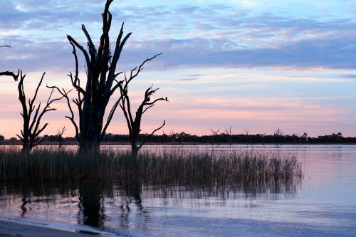 river australia scenic