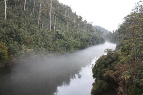 river fog mist