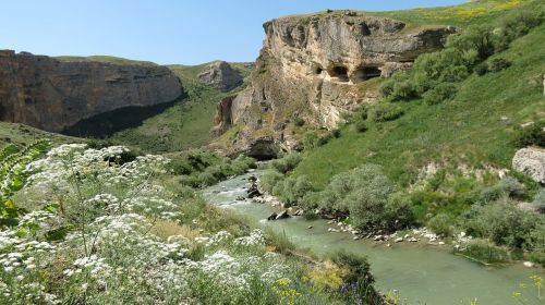 river tea erzurum