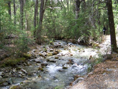 river landscape nature