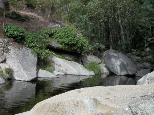 river nature landscape