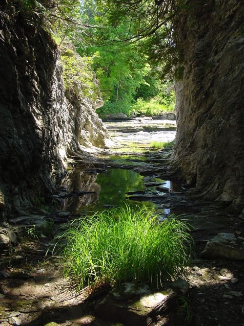 river plant gorge