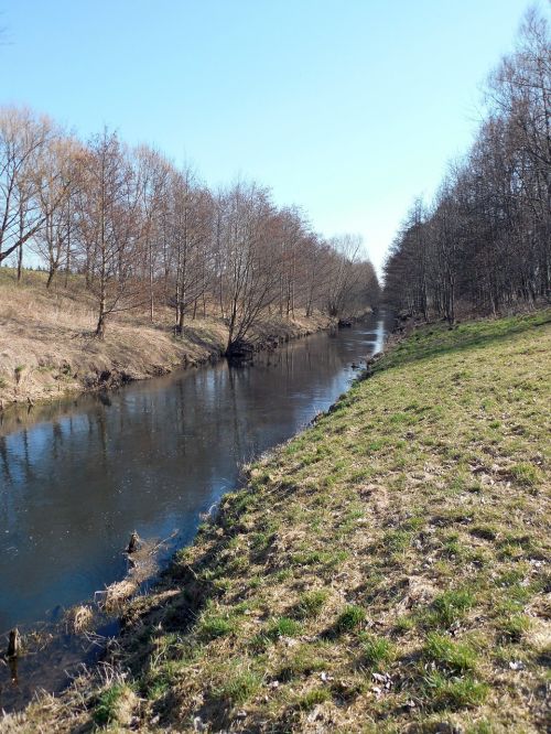 river bank water