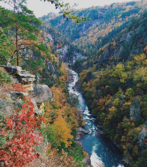 river water stream