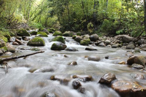 river stream water