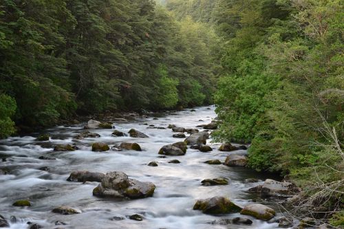 river estela water