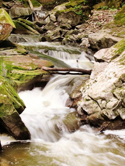 river webster's falls hamilton
