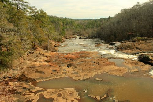 river flowing plants