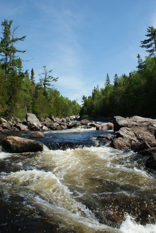 river stream nature