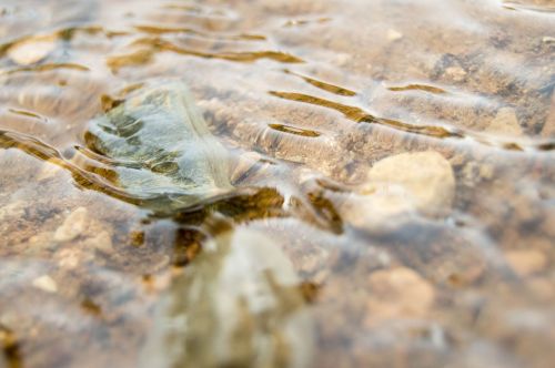 river water current