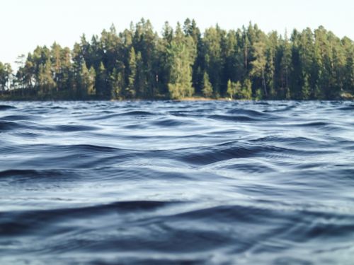 river water trees