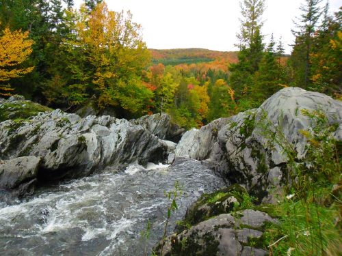 river fall cascade
