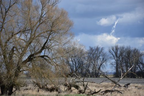 river meadow landscape