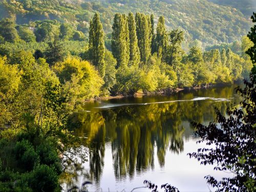 river landscape trees