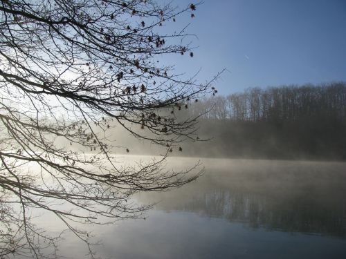 river mist winter