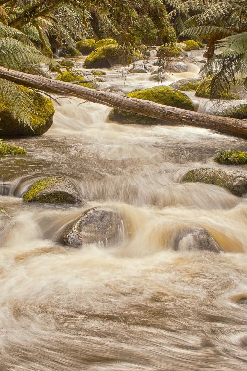 river flowing nature