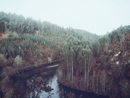 river water stream