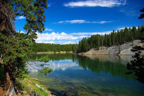 river above hayden valley  yellowstone  river