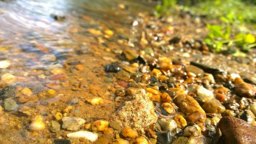 river bank pebbles water