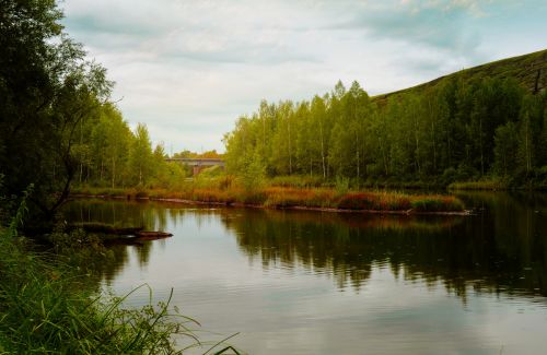 River Bank And Bridge